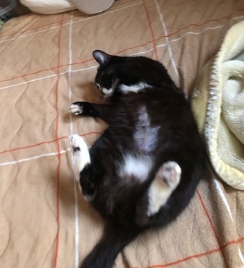 ココにもいました_f0242002_21211765.jpg