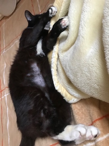 ココにもいました_f0242002_21212590.jpg