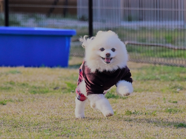 得した気分_d0360206_00375504.jpg