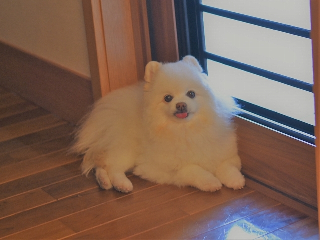 得した気分_d0360206_00381202.jpg