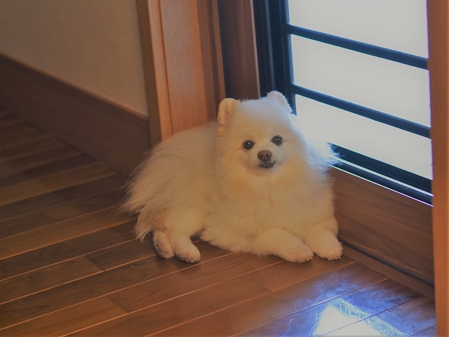 得した気分_d0360206_00381608.jpg