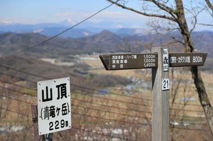 ハイキング・・・(4291)_e0349324_07591461.jpg