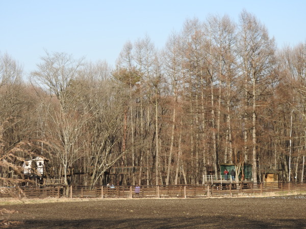 今週末の天気と気温（2020年3月19日）_b0174425_21410664.jpg