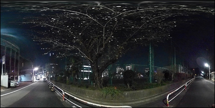 初桜は土手の道の古木の枝の間に 生きる歓び Plaisir De Vivre 人生はつらし されど愉しく美しく 初桜は土手の道の古木の枝の間に 生きる歓び Plaisir De Vivre 人生はつらし されど愉しく美しく