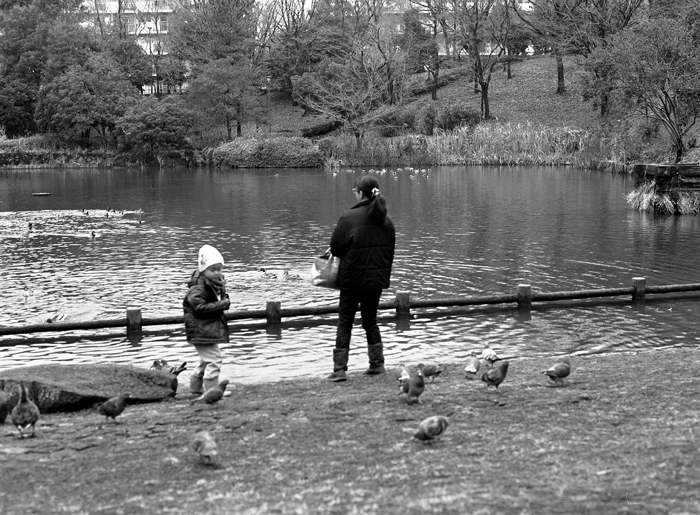 豊ヶ丘南公園池畔の母娘と鳩と週刊文春 照片画廊