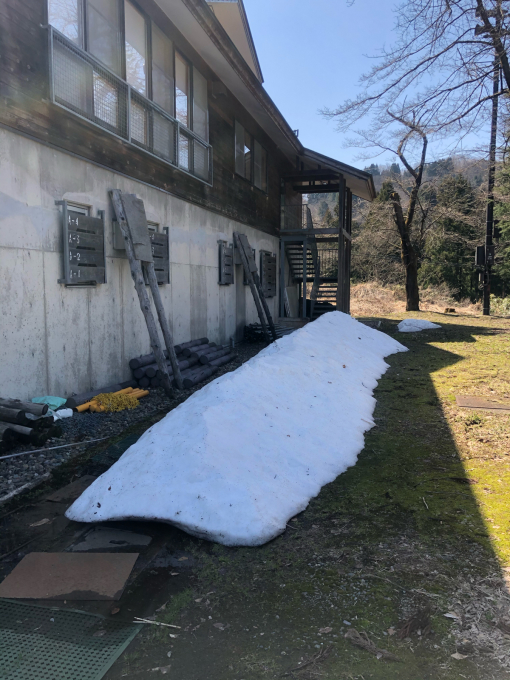 河津桜の季節_d0182179_11395935.jpg