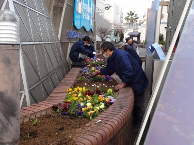 ガーデンふ頭総合案内所前花壇の植替えR2.3.16_d0338682_11025332.jpg