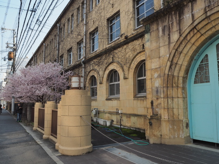 京の桜便り＜咲いてた編＞_a0376293_00191328.jpg