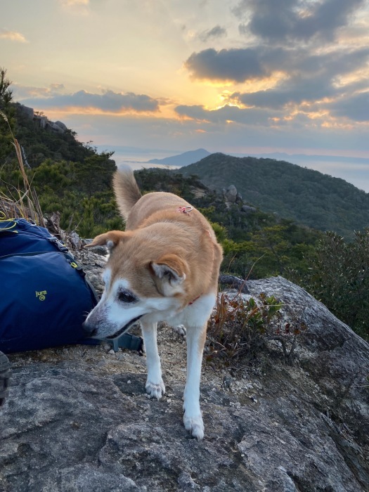 糸島十坊山の続きで夕日を見に立石山へ_f0232994_15153428.jpg