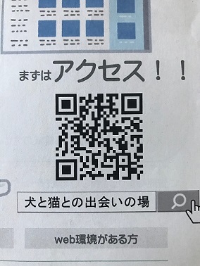 動物愛護センター「犬と猫との出会いの場」_f0242002_19344924.jpg