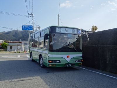 Kii route-9 To Enjyu beach from Hinomisaki  日の岬から煙樹ｹ浜へ_d0360104_14531092.jpg