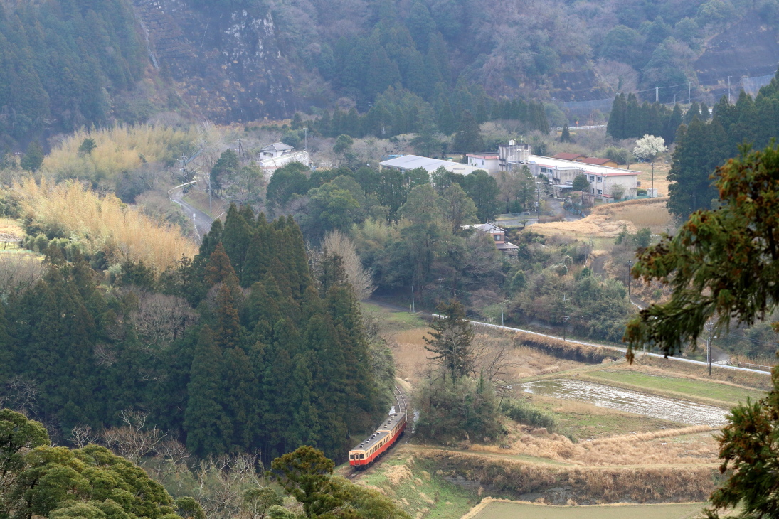 まだ冬枯れの季節 - 2020年晩冬・小湊鉄道 -_b0190710_21384697.jpg