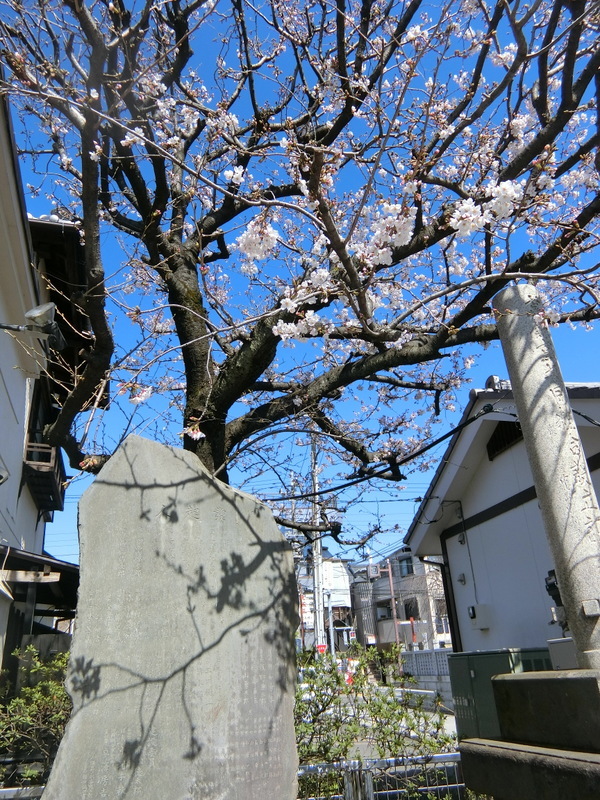 3月20日(水)お彼岸お中日_d0278912_16264781.jpg