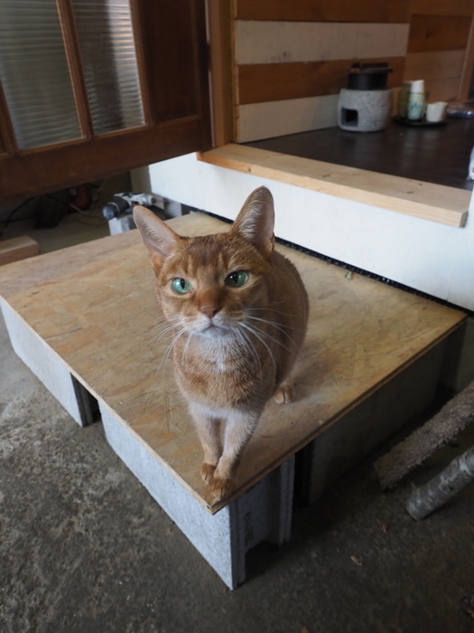 峠重製作所×スフクノモリ ふたり展 Picnic_c0116915_00210310.jpg