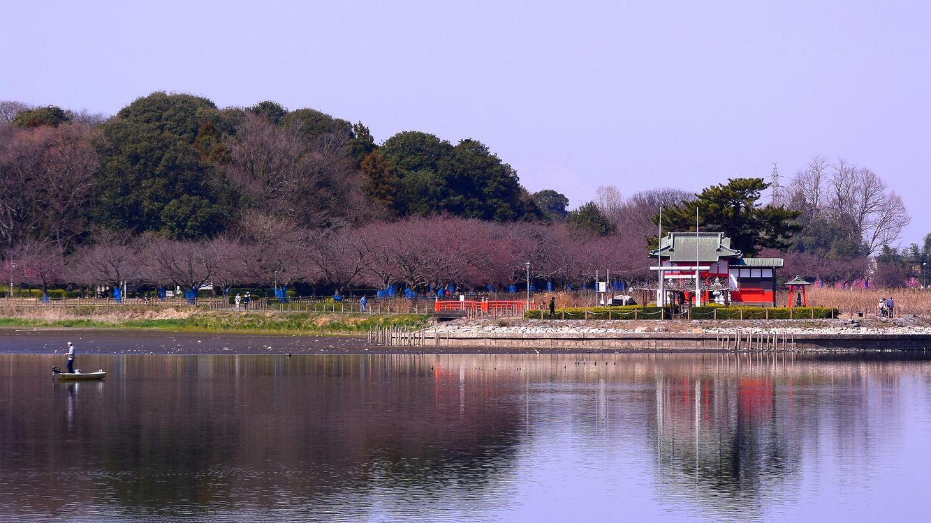 春 の麗 の多々良 沼 自転車で周回してるとアッと思う絶景が至る所に 私のデジタル写真眼 春 の麗 の多々良 沼 自転車で周回してるとアッと思う絶景が至る所に 私のデジタル写真眼