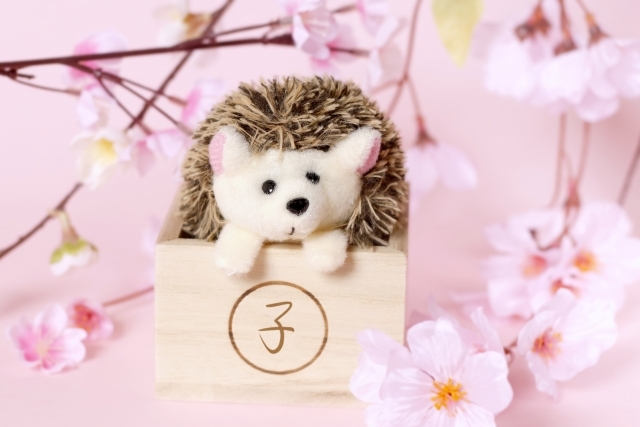 穏やか は 強い ちょっと心がけるだけで日常が変わる 生きやすくなる スピリチュアルカウンセリング ヒーリング こころ が輝くまで