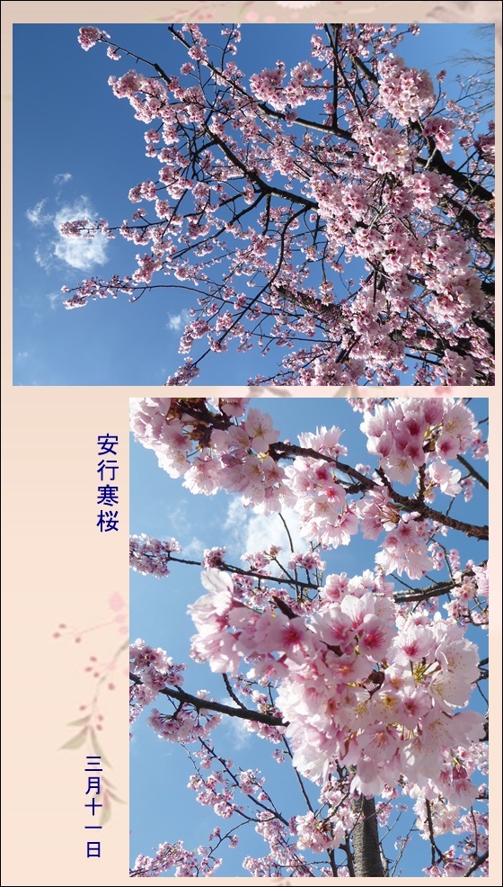 春_c0128342_08420223.jpg