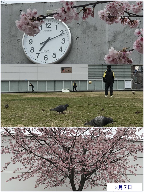 春_c0128342_08422614.jpg