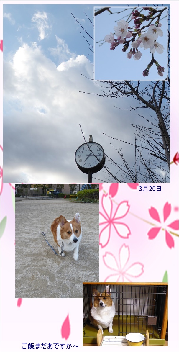 春_c0128342_09344300.jpg