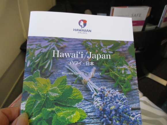 ハワイ NO8 6日目 _a0279743_14211302.jpg