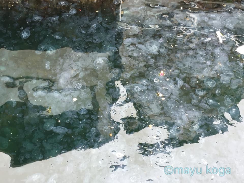 アルナヴットキョイを散策！_e0255060_23505386.jpg