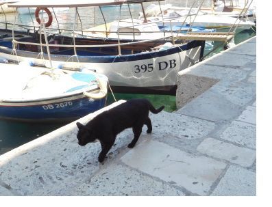 ’20，3，20（金）ホッケの定食とクロアチアの黒猫の絵！_f0060461_09431082.jpg