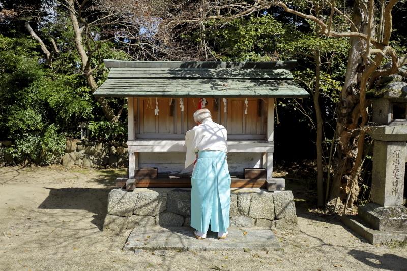 湧出宮 女座の祭り_c0196076_20074019.jpg