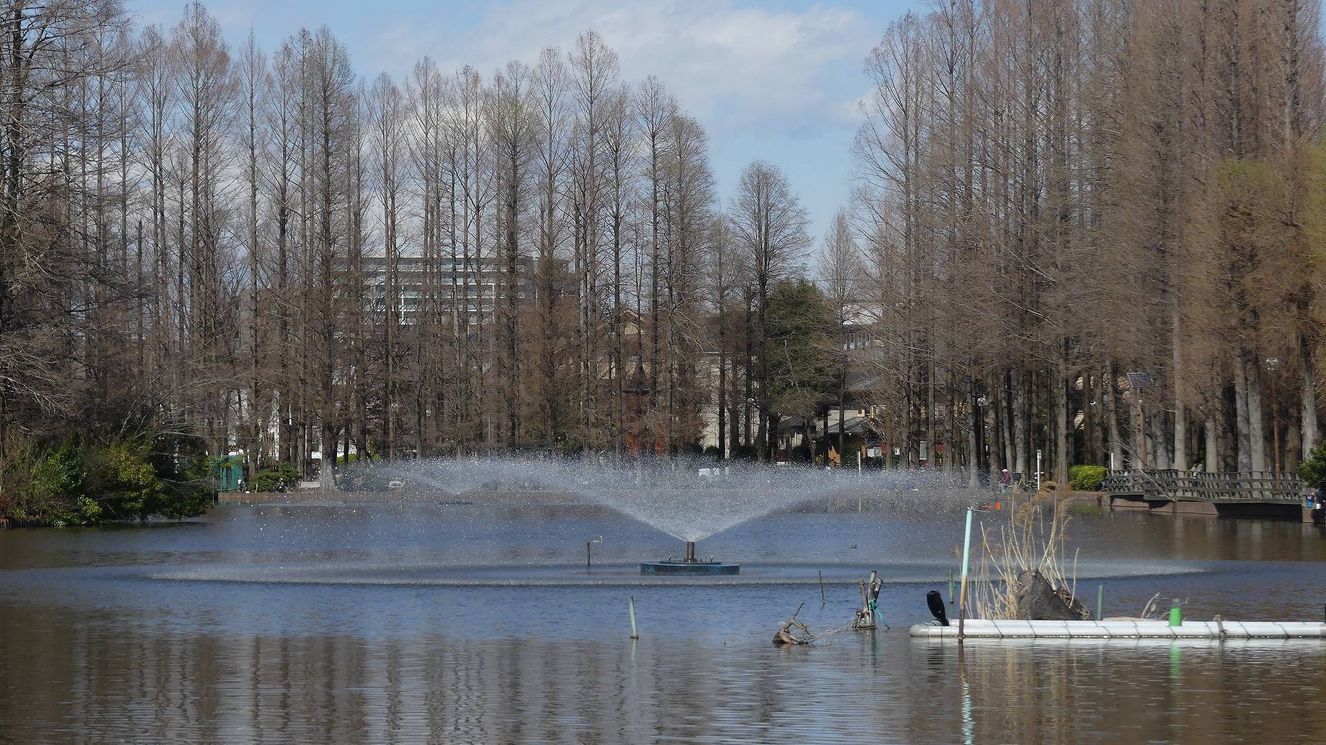 春の声 【 2020 3/20(金) 】_a0185081_23500032.jpg