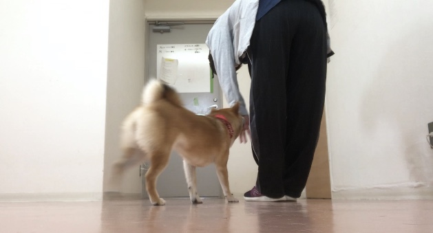 トレーニングブログ_f0357682_12462625.jpeg