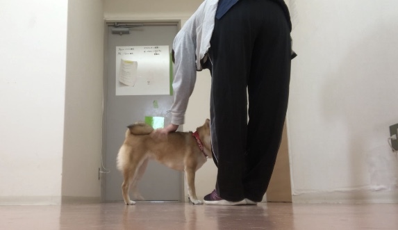 トレーニングブログ_f0357682_12463995.jpeg