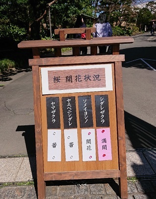 お花見御膳 と 呟き _a0264383_21502530.jpg