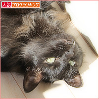 あちちの黒猫_a0389088_03404845.jpg