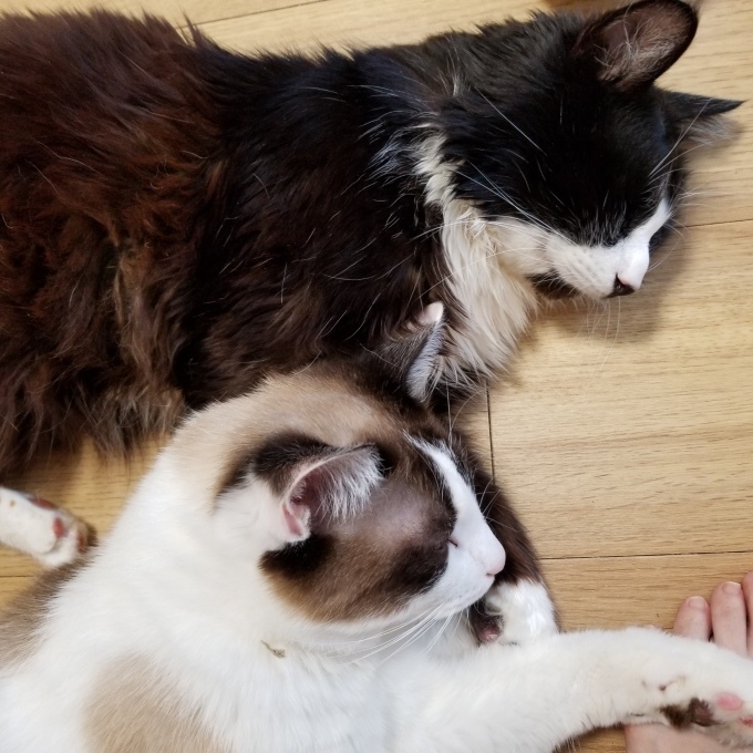連休初日_c0369492_09513136.jpg