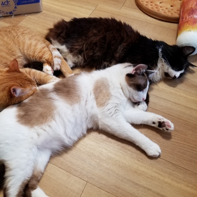 連休初日_c0369492_09540419.jpg