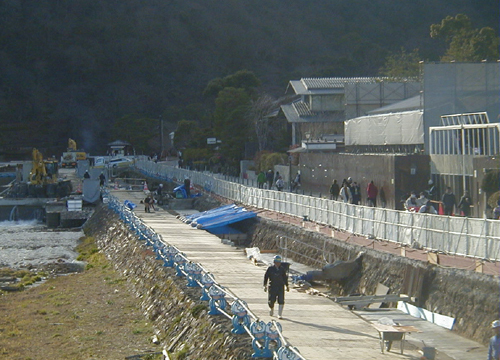 ●渡月橋上流左岸河道整備、その10_d0053294_10520646.jpg