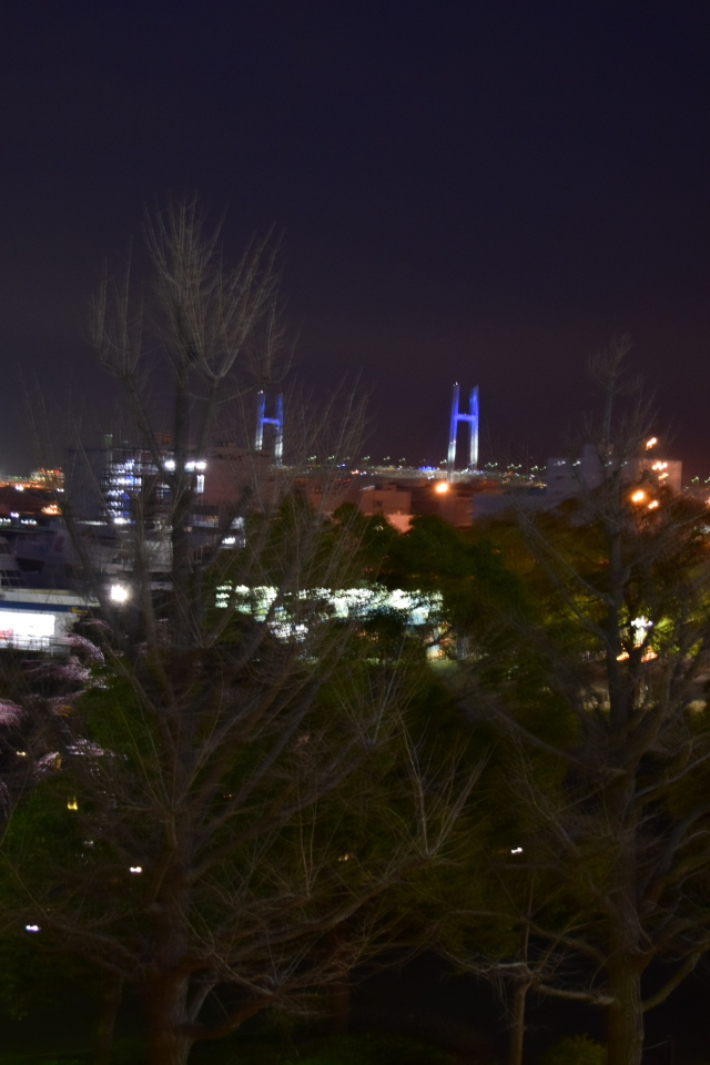 横浜市中区山下町のホテルニューグランド(昭和モダン建築再訪2020)_f0142606_11565454.jpg