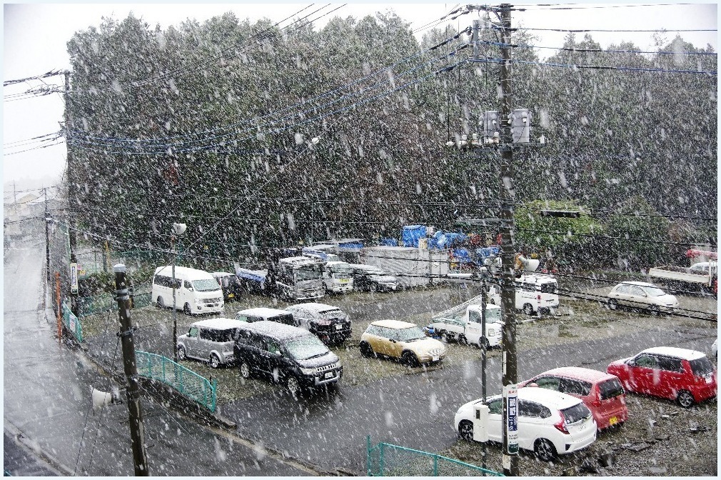 なごり雪_c0352813_09574602.jpg