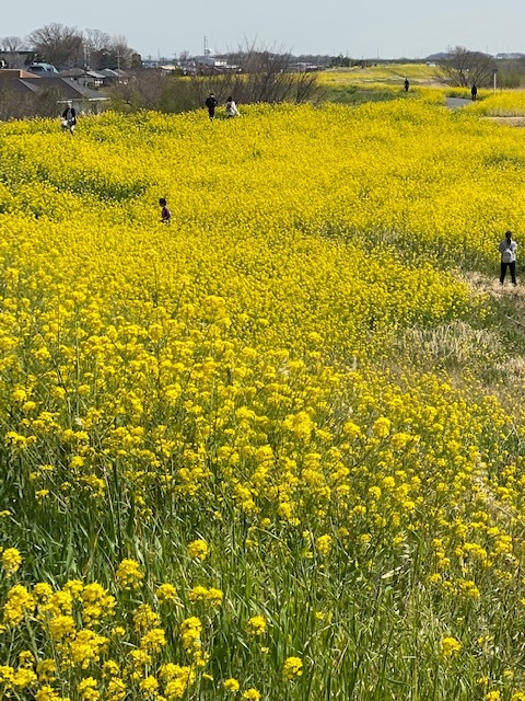 第3保育所修了式_d0130714_20371424.jpg