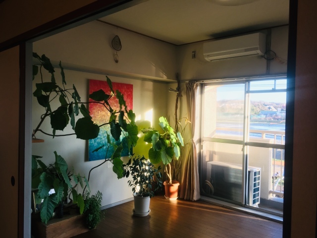 atelier23で展示しております_f0179615_08065998.jpeg