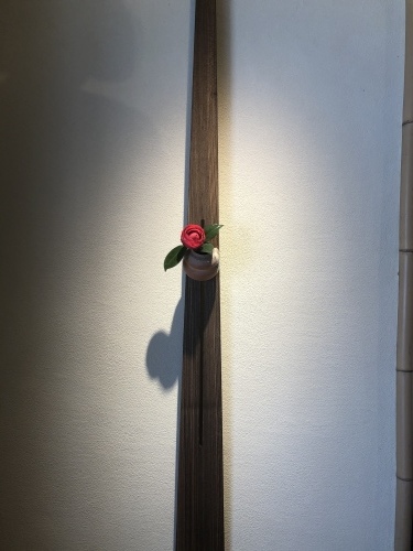 桜が咲き始めました〜🌸_a0197730_13203202.jpeg