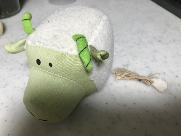 1歳♪_a0051443_21420386.jpeg