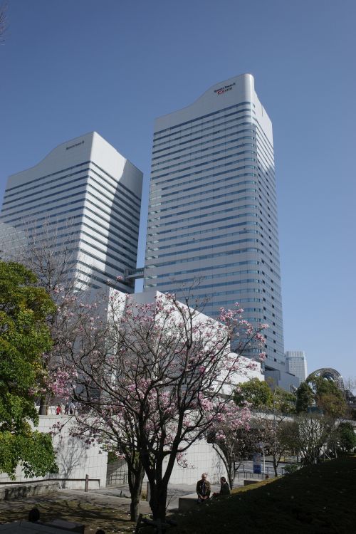 本日の、みなとみらい_e0080345_18081228.jpg