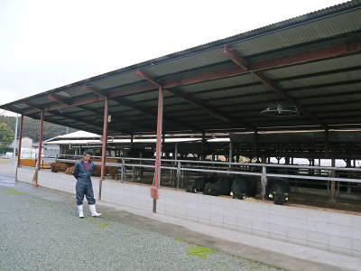 熊本県産黒毛和牛の精肉販売に向けて 「中野畜産」の牧場を現地取材!こだわりのエサについて!_a0254656_17161765.jpg