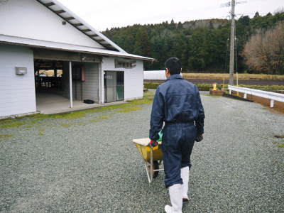 熊本県産黒毛和牛の精肉販売に向けて 「中野畜産」の牧場を現地取材!こだわりのエサについて!_a0254656_17365053.jpg