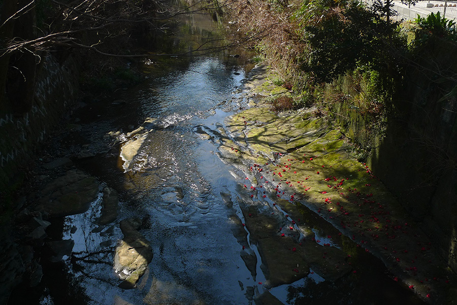 春分_b0087456_11494532.jpg