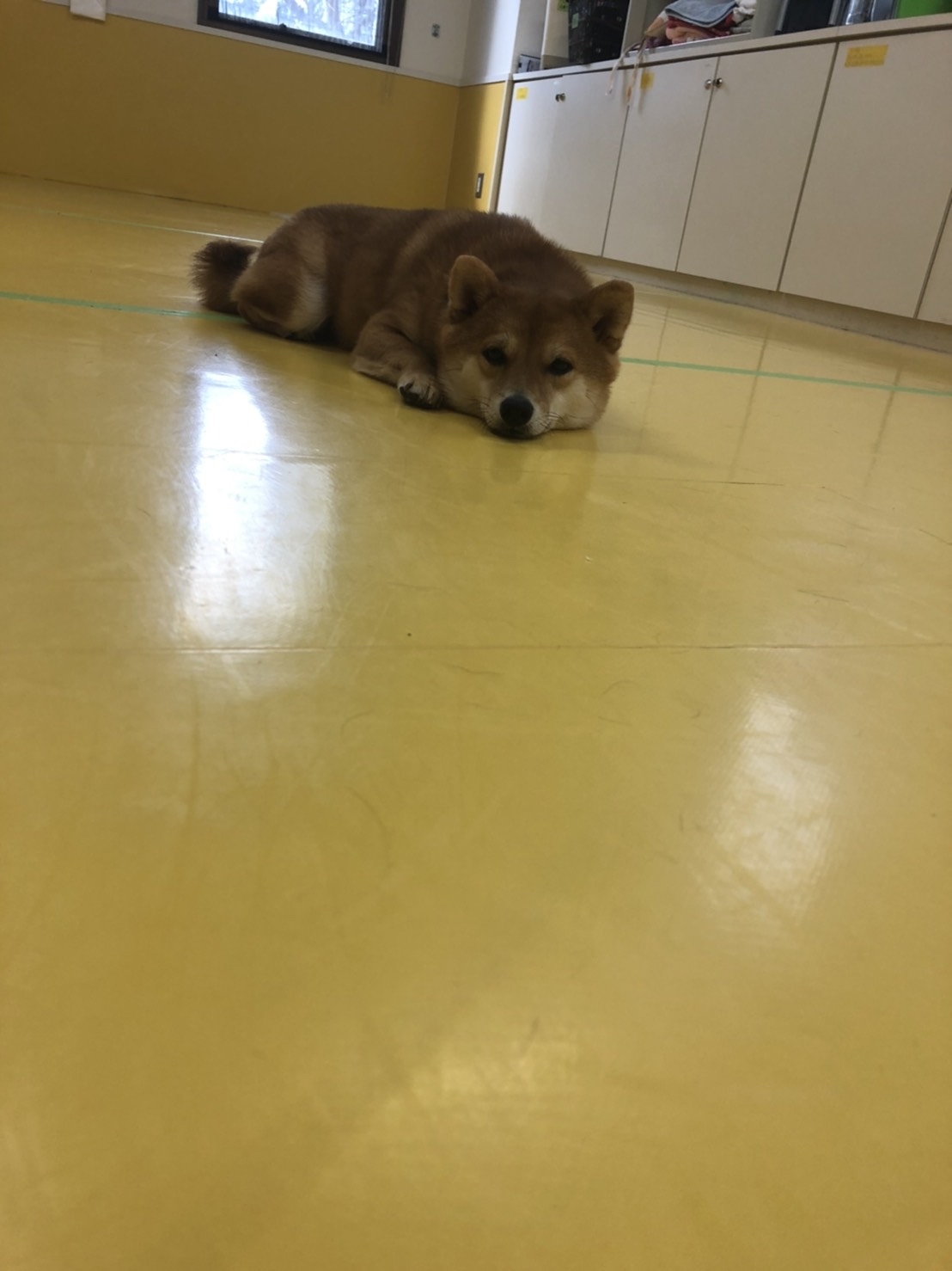 保育園ブログ🌼_f0357682_14214600.jpg