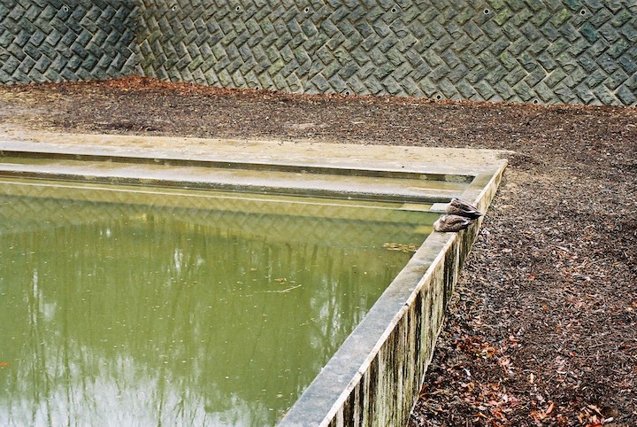 3/2 多摩動物公園④ 2枚_b0016600_217429.jpg