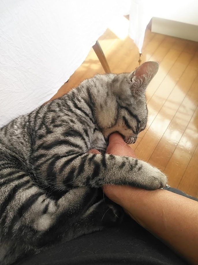 ことちゃんはマザコン♪_b0331802_22295763.jpg