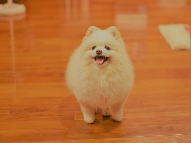 怖くて外に出られない_d0360206_00574573.jpg