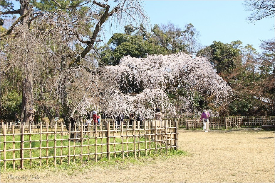 華やぐ季節。_b0311208_20380602.jpg